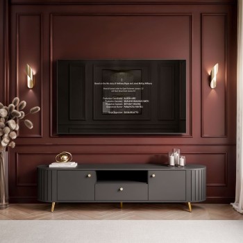 Szafka RTV ELODIE II z szufladą