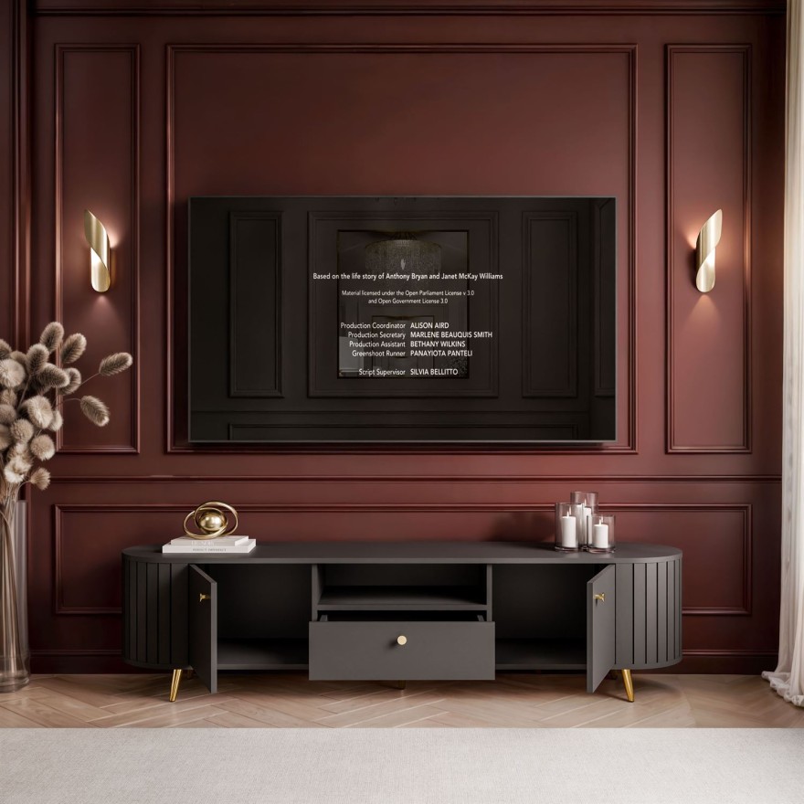 Szafka RTV ELODIE II z szufladą