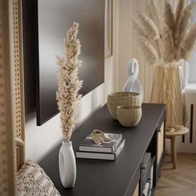 Szafka RTV VIENNA 3D z plecionką wiedeńską