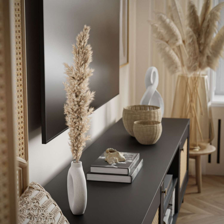 Szafka RTV VIENNA 3D z plecionką wiedeńską