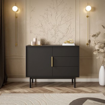 Jednodrzwiowa komoda MIRACLE 1D3S z szufladami