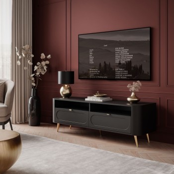 Szafka RTV SHADOW II 2S z...