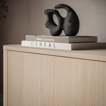 Trzydrzwiowa szafka RTV DESTINY II