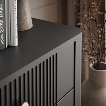 Komoda ELYSIA 2D2S z szufladami