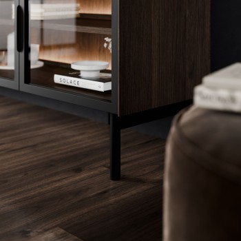 Przeszklona szafka RTV LINEA LOFT 2D3S z oświetleniem LED