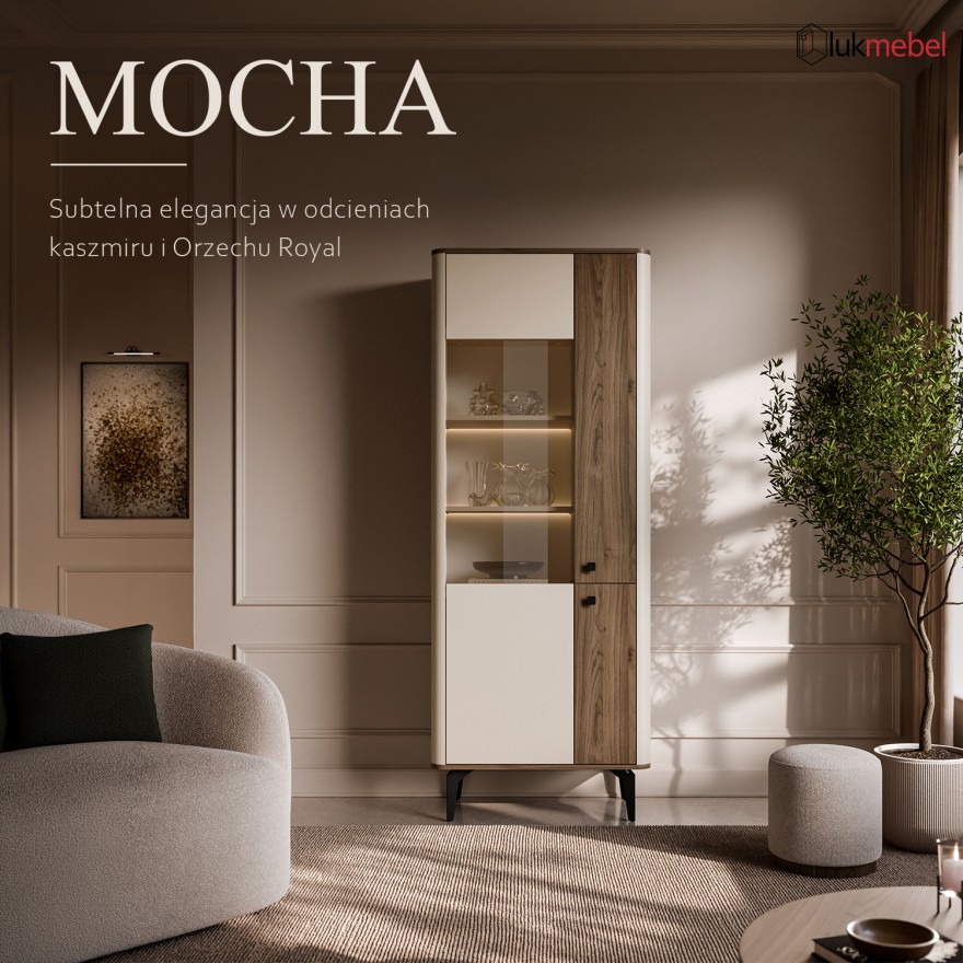 Witryna do salonu MOCHA z przeszklonym frontem i LED