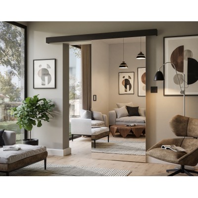 Drzwi przesuwne RICO II z lustrem Drzwi przesuwne RICO II z lustrem