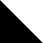 Czarny / biały